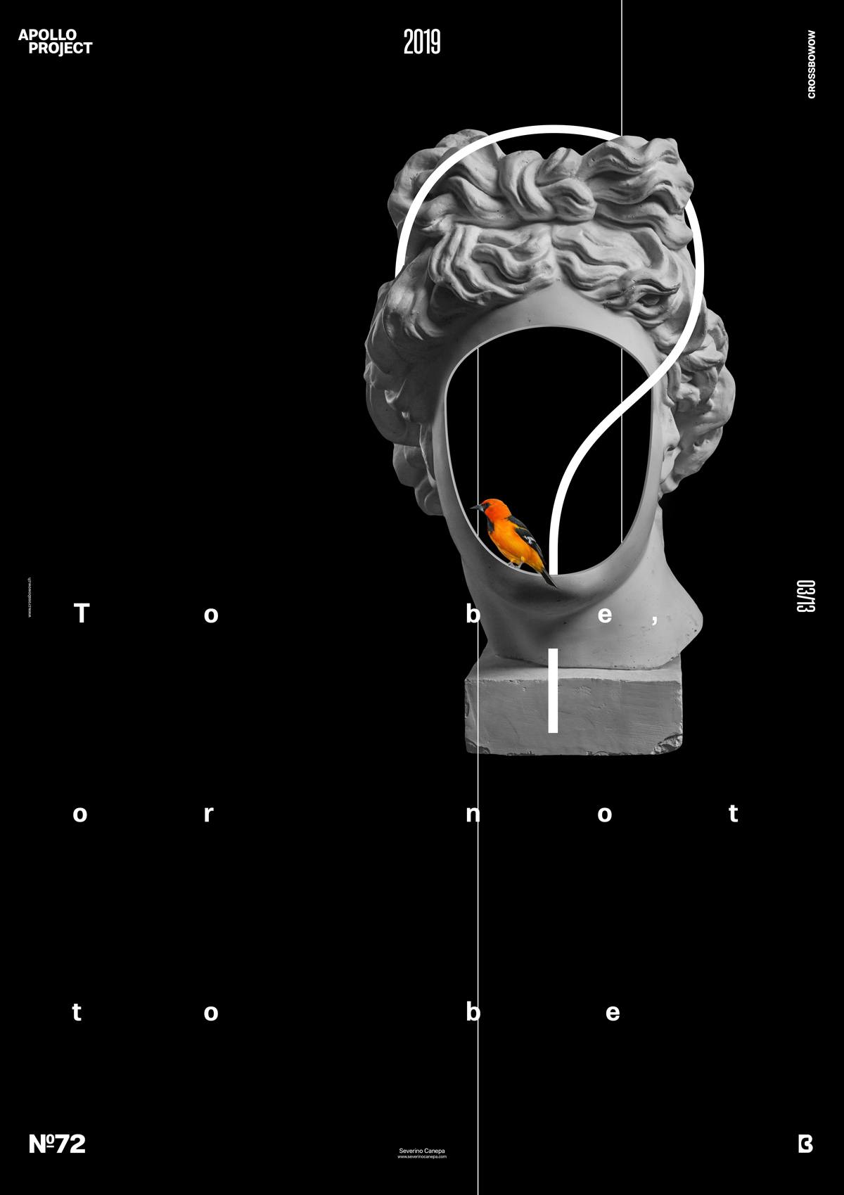 Visual of the poster design #72 titled Questions with a bird and Apollo's head