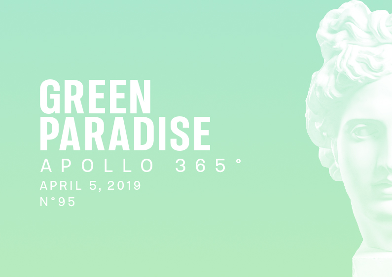 Green paradise is a creative poster made with green and blue gradient