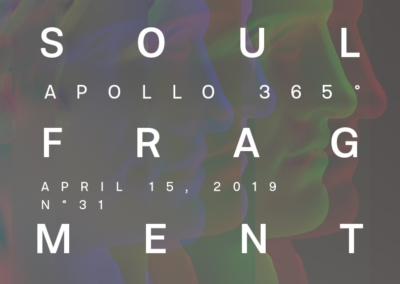 Soul Fragment Poster #105