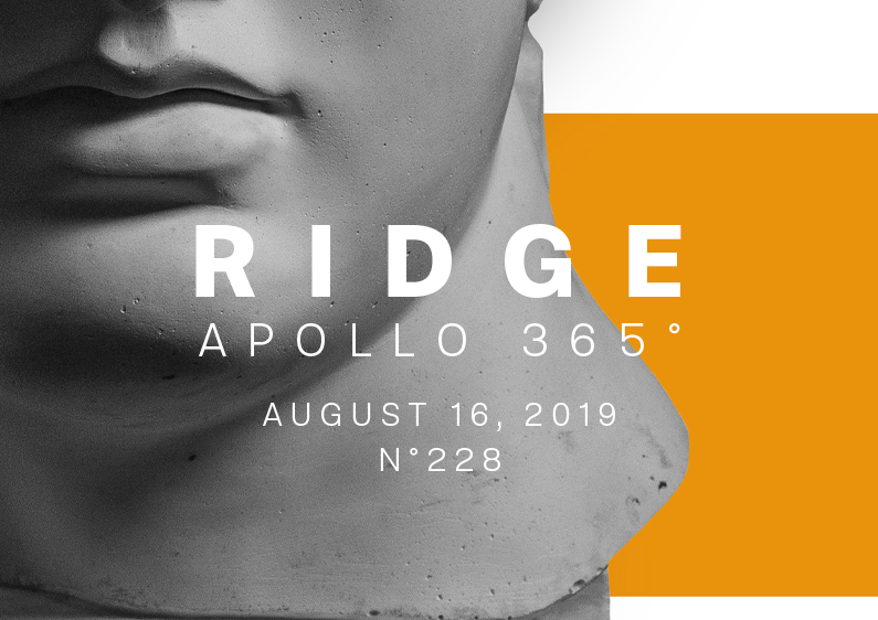 Presentation image of the poster design number 228 titled Ridge