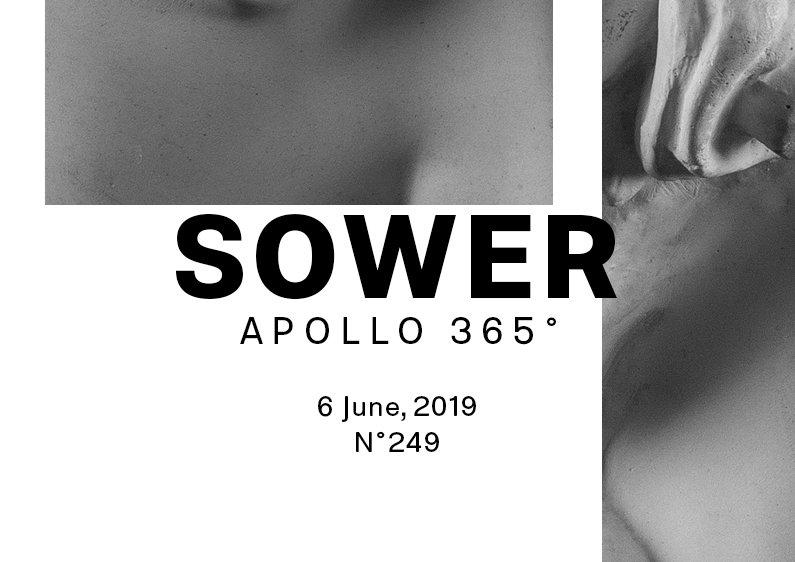 Introduction image of the poster design number 249 titled Sower