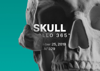 Skull Poster #329
