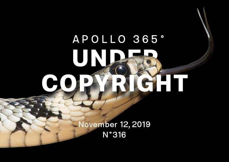 Introduction image of Under Copyright poster