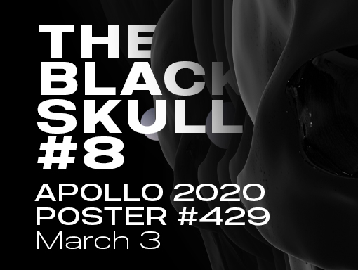 Presentation image of the poster number 429 The Black Skull 8