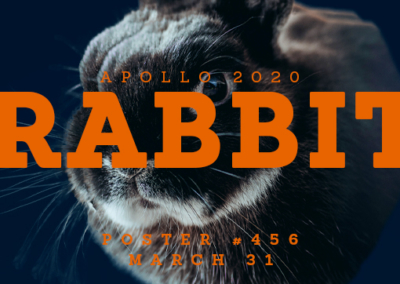Rabbit Poster #456