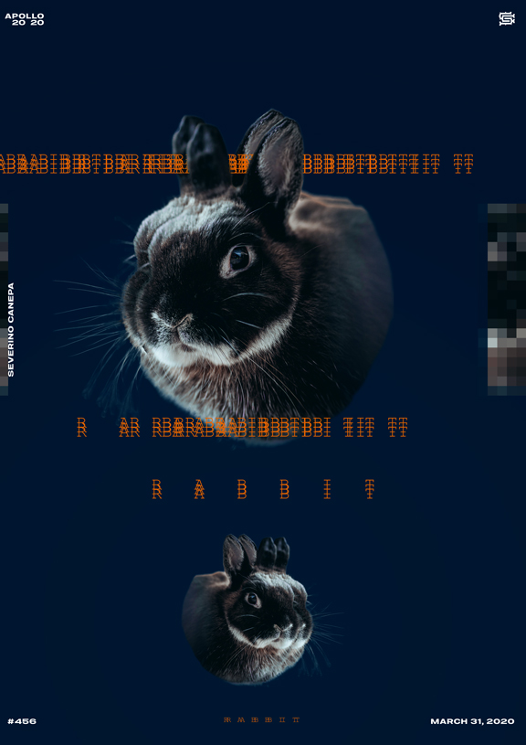 Visual of the artwork #456 and the picture of a rabbit