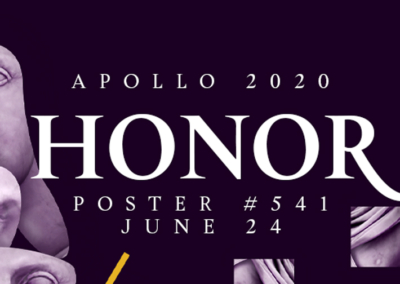 Honor Poster #541