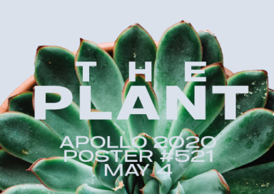 The Plant Poster #521