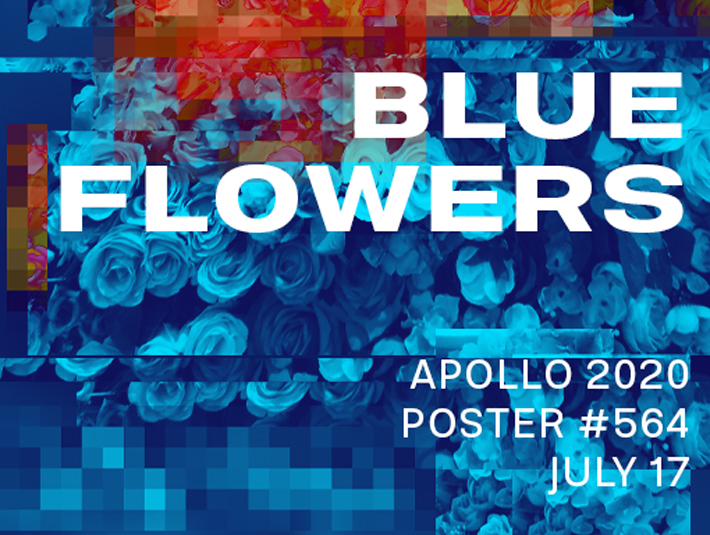 Presentation of the duotone creation Blue Flowers