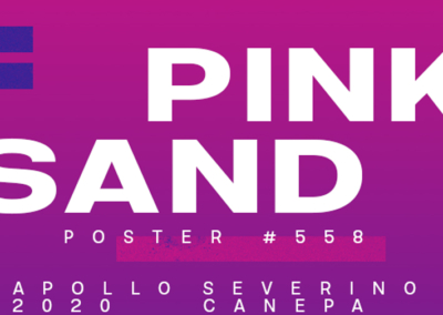 Pink Sand Poster #558