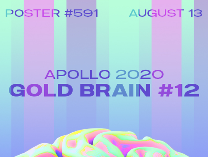 Presentation image of the poster number 591 named Brain 12