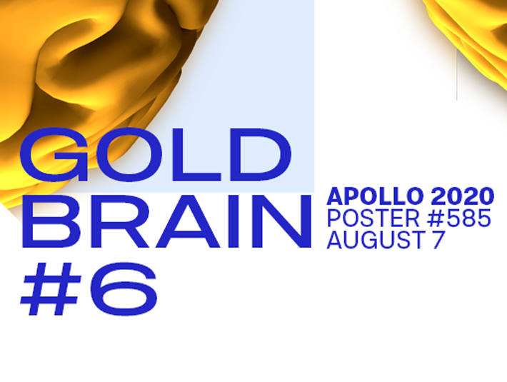 Overview of the graphic creation number 585 Gold Brain 6