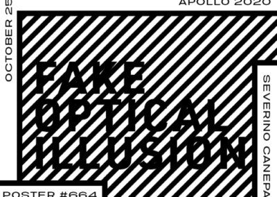 Fake Optical Illusion #10 Poster #664