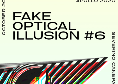 Fake Optical Illusion #6 Poster #660