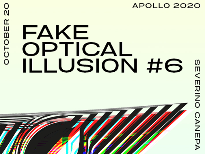 Presentation of the digital creation number 660 named Fake Optical Illusion #6