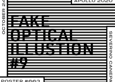 Fake Optical Illusion #9 Poster #663
