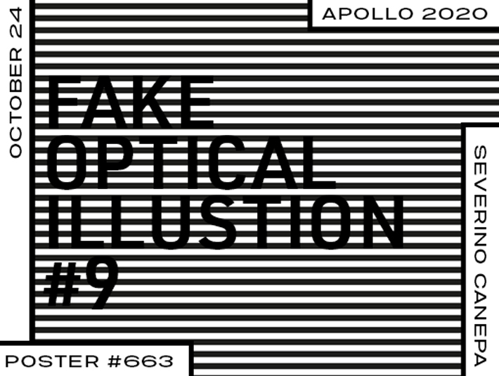 Overview of the poster number 663 named Fake Optical Illusion 9