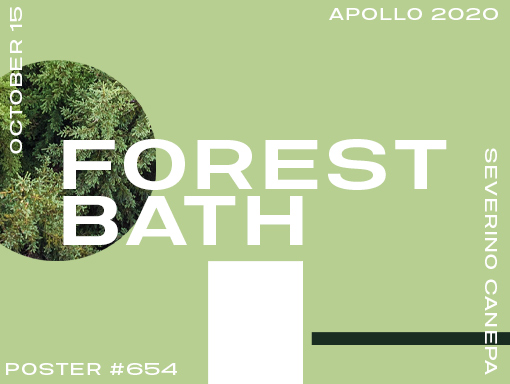 Overview of the digital creation number 654 named Forest Bath