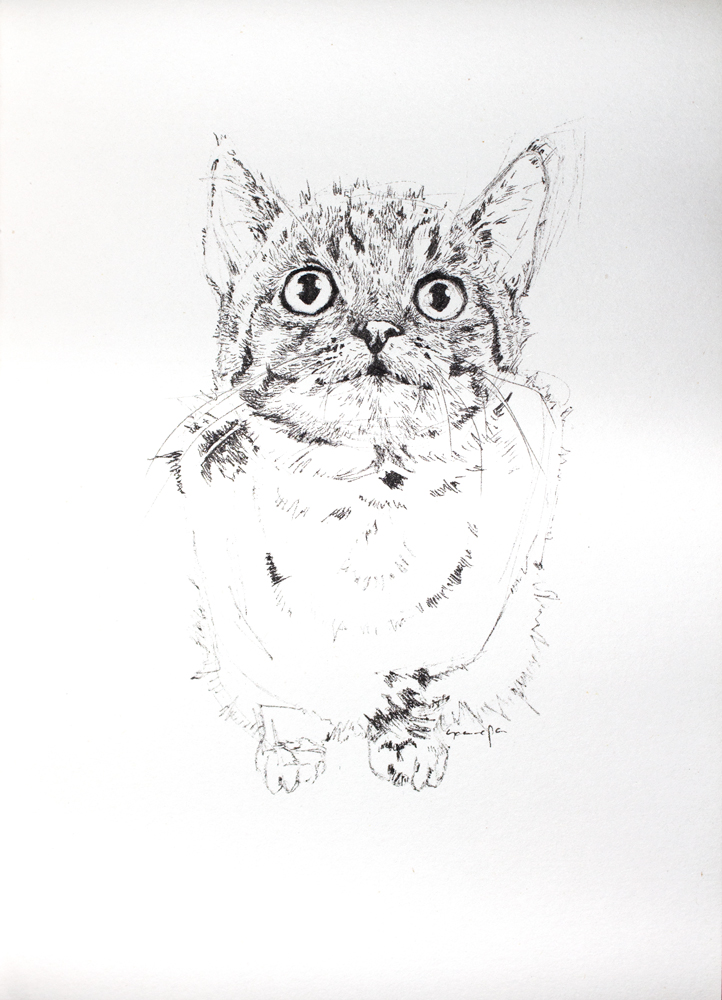 Illustration of a cat made with fineliners