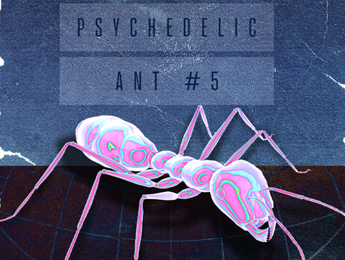 Presentation of the poster number 766 named Psychedelic Ant 5