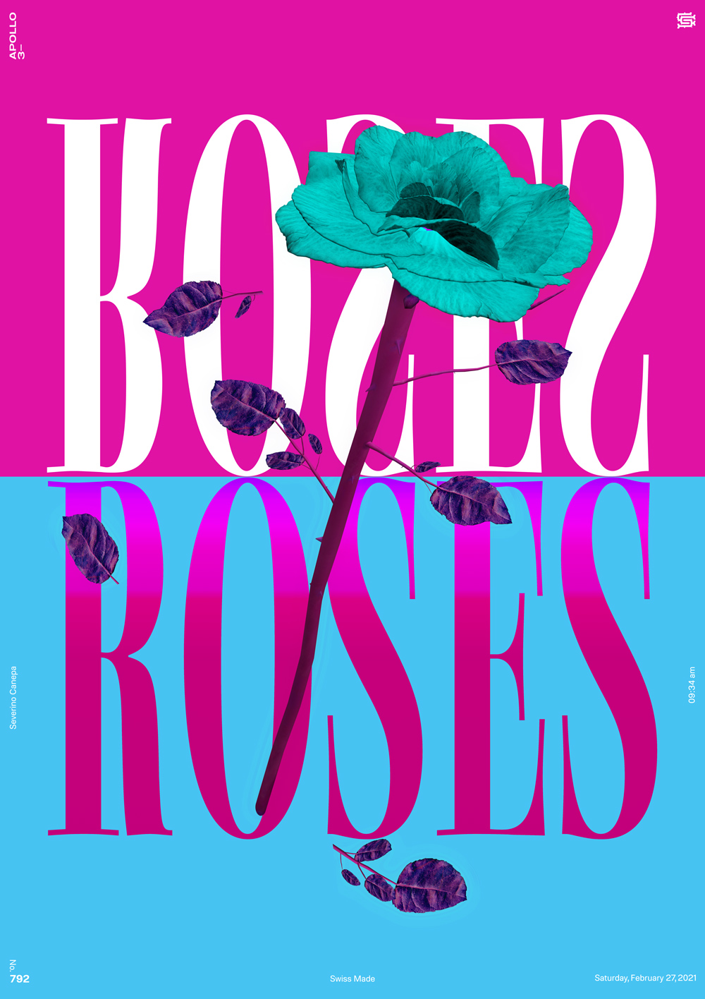 Typographic artwork made with the 3D render of rose