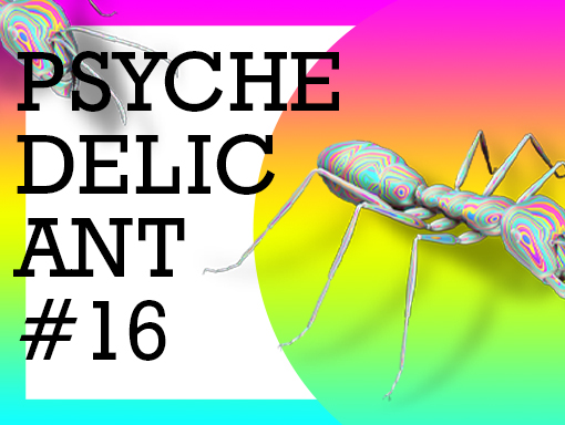 Digital artwork presentation number 777 titled Psychedelic Ant 16