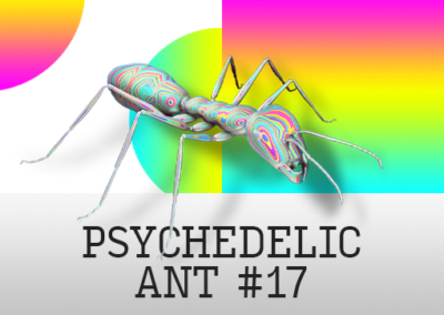 Psychedelic Ant #17 Poster #778