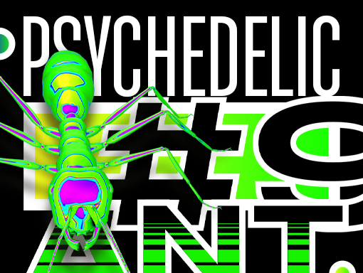 Presentation of the poster number 770 Psychedelic Ant 9