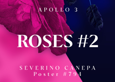 Roses #2 Poster #794
