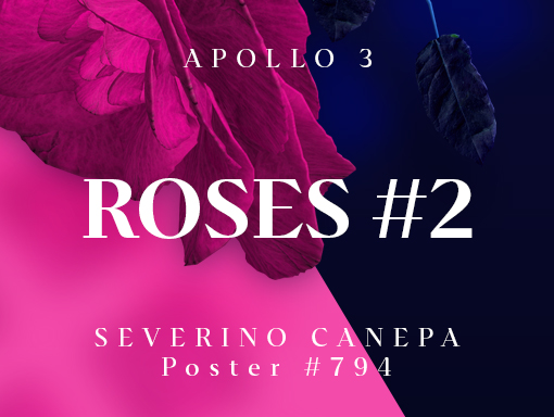 Presentation image of the poster number 794 named Roses 2