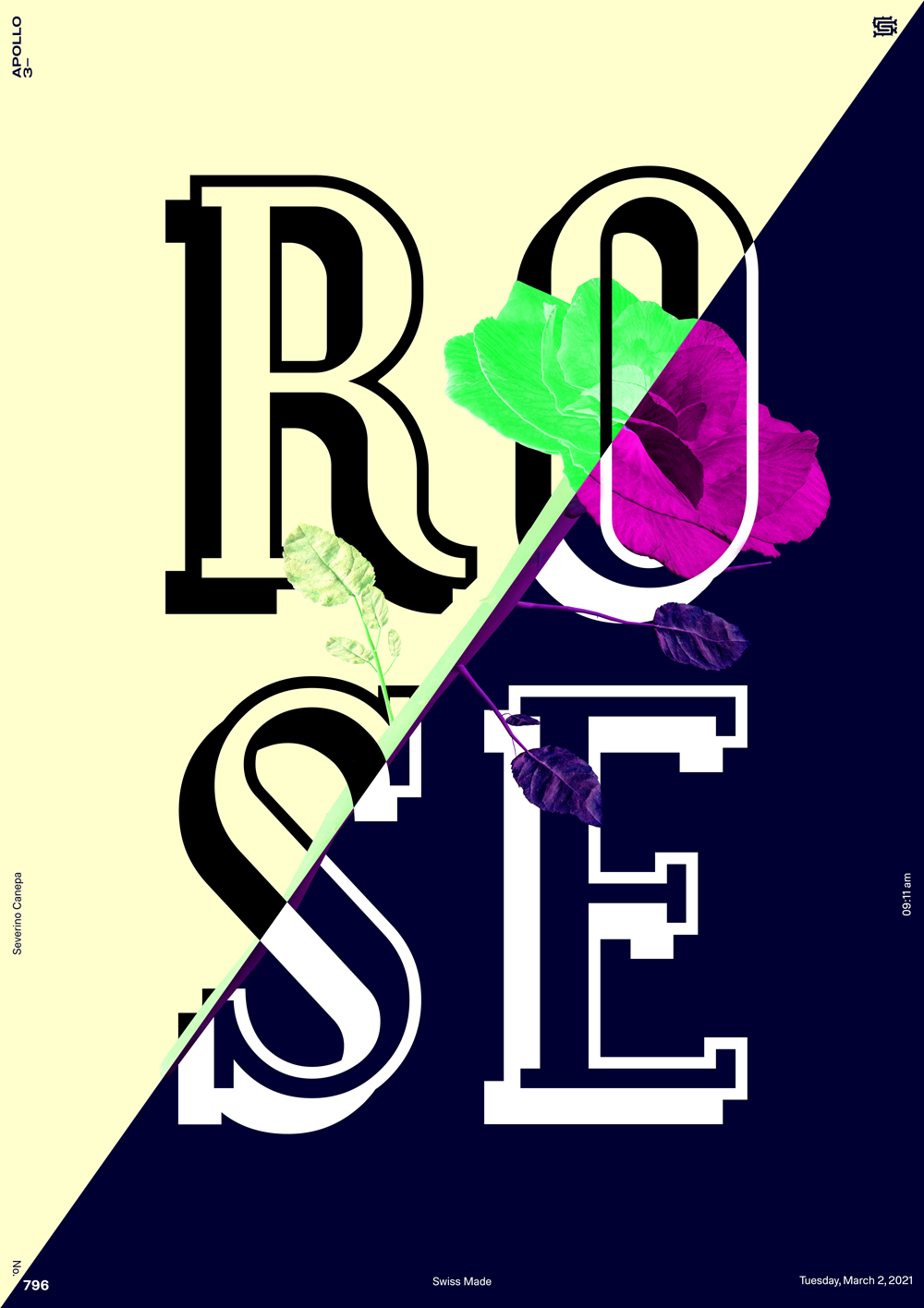 Contrasted design made with large letters and a rose