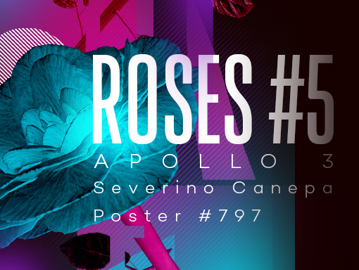 High quality design presentation of the poster number 797 named Roses 5