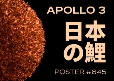 Japanese Koi Poster #845