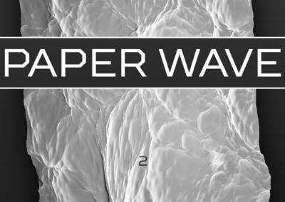 Paper Wave #2 Poster #939