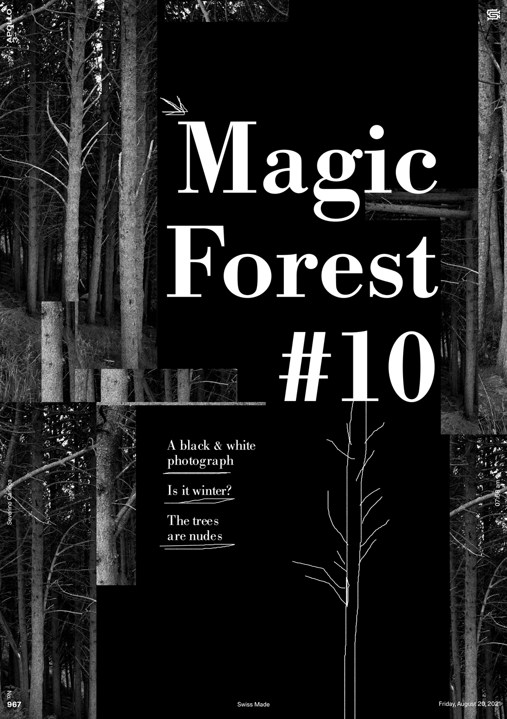 Visual creation made with a large typography and the photograph of a forest