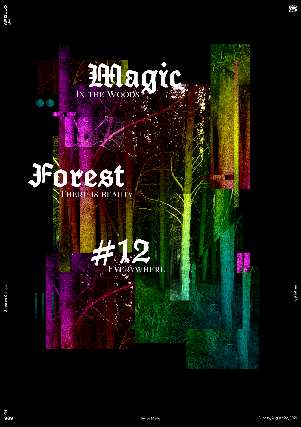 A new visual creation and variation of the mini-series Magic Forest