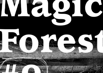 Magic Forest #9 Poster #966