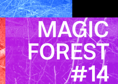 Magic Forest #14 Poster #971