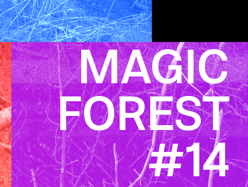 Presentation image of a geometric creation titled Magic Forest 14