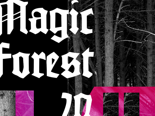 Overview image of the poster number 977 named Magic Forest 20