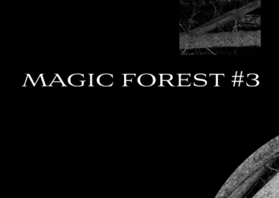 Magic Forest #3 Poster #960