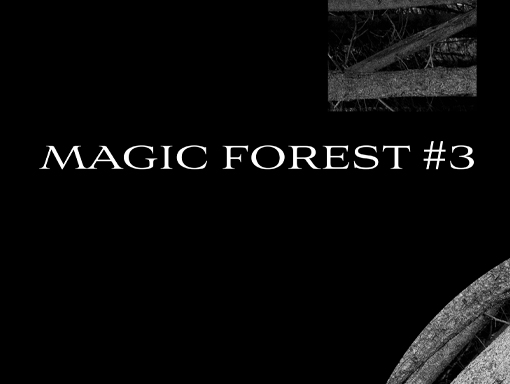 Digital overview of the poster named Magic Forest 3