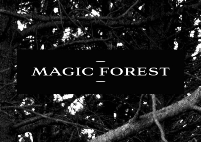 Magical Forest Poster #958