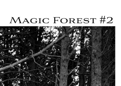 Magic Forest #2 Poster #959
