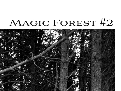 Digital presentation of the poster number 959 named Magic Forest 2