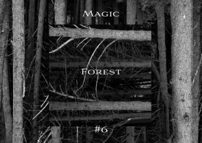 Magic Forest #6 Poster #963