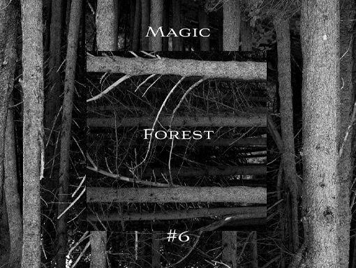 Presentation design of the poster number 963 titled Magic Forest 6