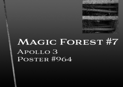 Magic Forest #7 Poster #964