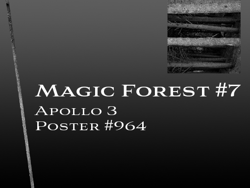 Presentation of the poster 964 named Magic Forest 7