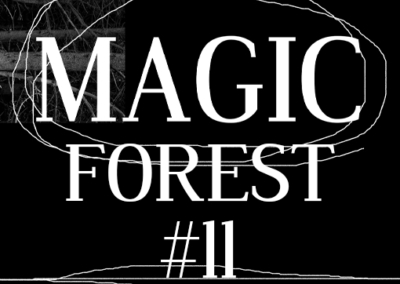 Magic Forest #11 Poster #968